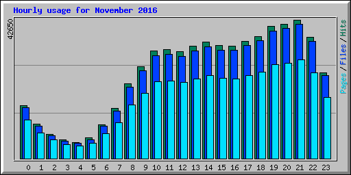 Hourly usage for November 2016