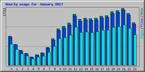 Hourly usage for January 2017