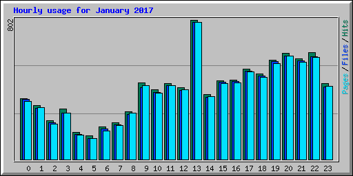 Hourly usage for January 2017