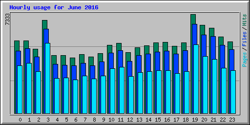 Hourly usage for June 2016