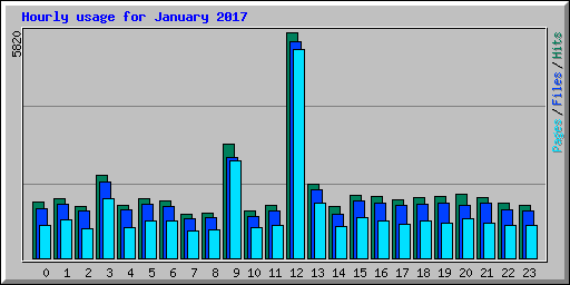 Hourly usage for January 2017