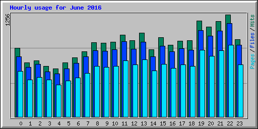 Hourly usage for June 2016