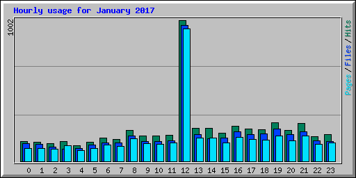 Hourly usage for January 2017