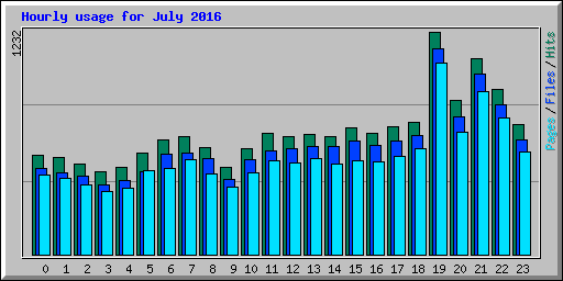 Hourly usage for July 2016