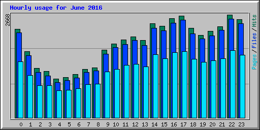 Hourly usage for June 2016