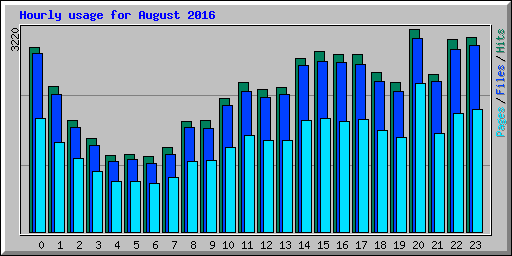 Hourly usage for August 2016