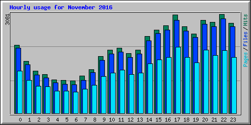 Hourly usage for November 2016