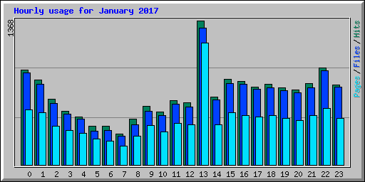 Hourly usage for January 2017