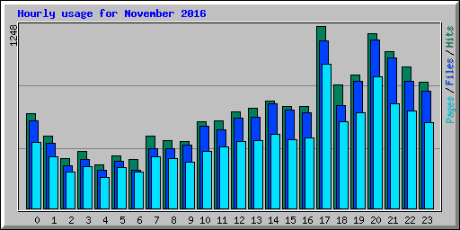 Hourly usage for November 2016