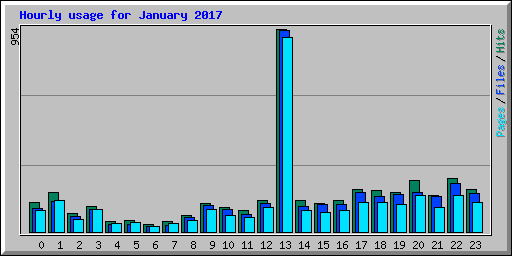 Hourly usage for January 2017