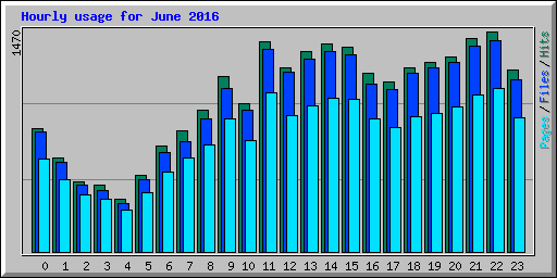 Hourly usage for June 2016