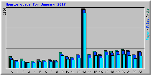 Hourly usage for January 2017