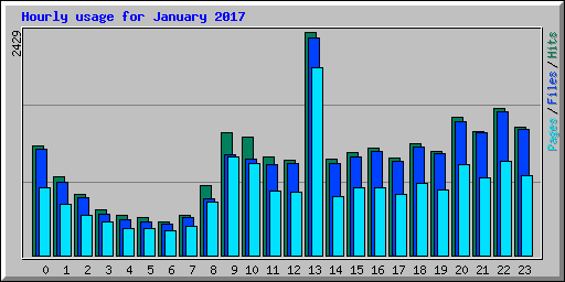 Hourly usage for January 2017