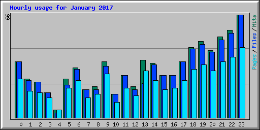 Hourly usage for January 2017