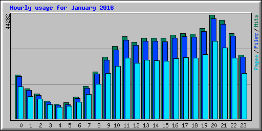 Hourly usage for January 2016