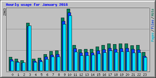 Hourly usage for January 2016