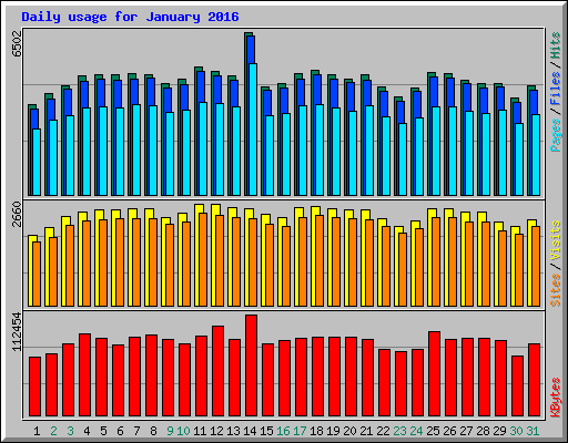 Daily usage for January 2016