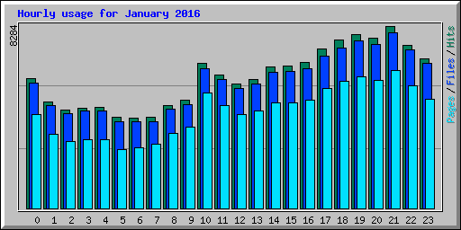 Hourly usage for January 2016