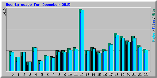 Hourly usage for December 2015