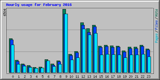 Hourly usage for February 2016