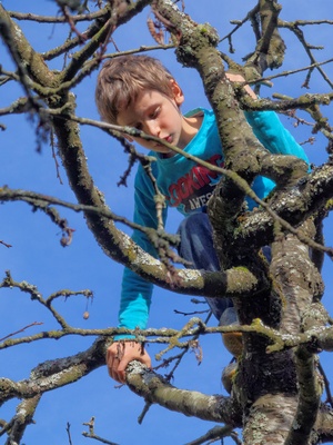 ADHS Kind als Baumkletterer