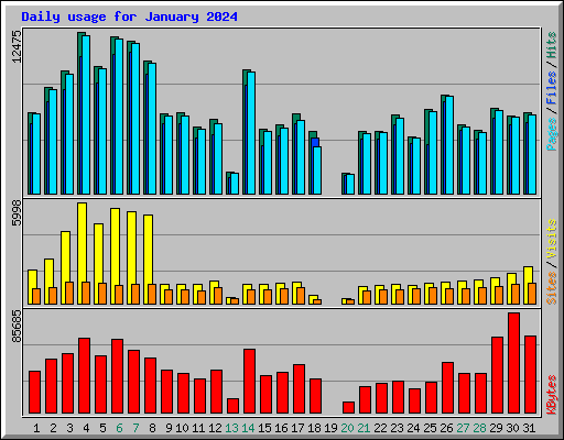 Daily usage for January 2024