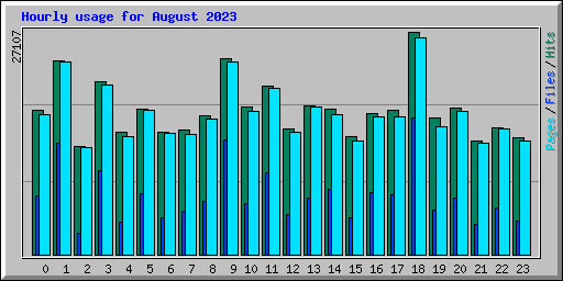 Hourly usage for August 2023