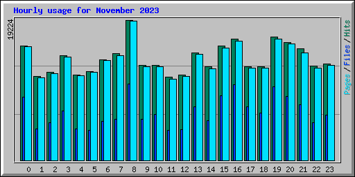 Hourly usage for November 2023