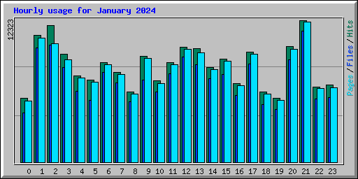 Hourly usage for January 2024