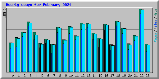 Hourly usage for February 2024