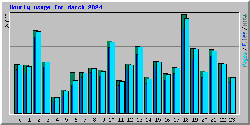 Hourly usage for March 2024