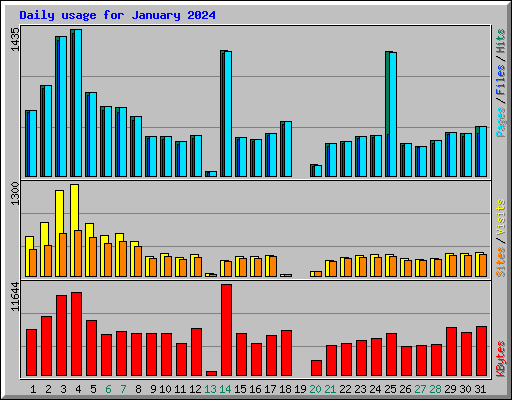 Daily usage for January 2024