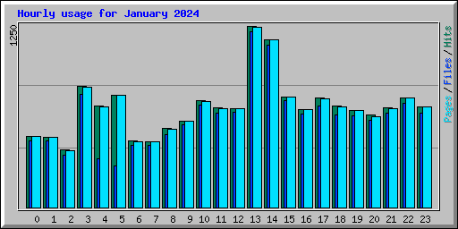 Hourly usage for January 2024