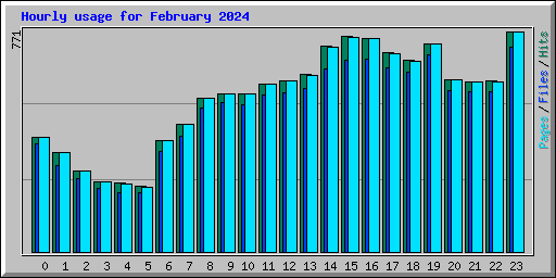 Hourly usage for February 2024