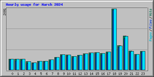 Hourly usage for March 2024