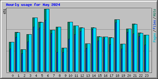 Hourly usage for May 2024