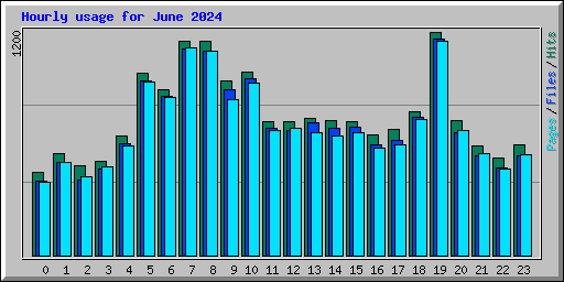 Hourly usage for June 2024