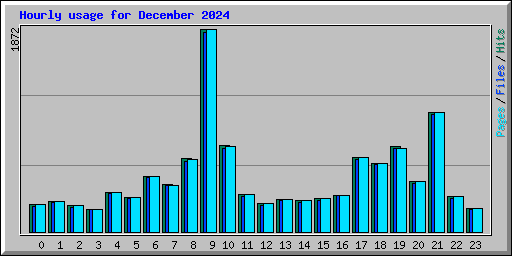 Hourly usage for December 2024