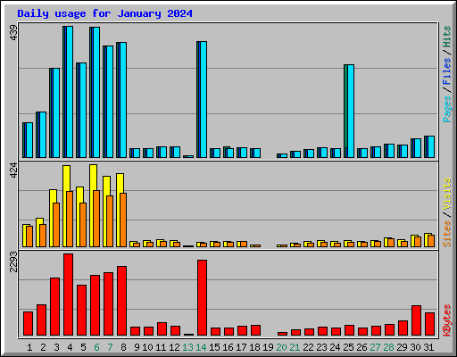 Daily usage for January 2024