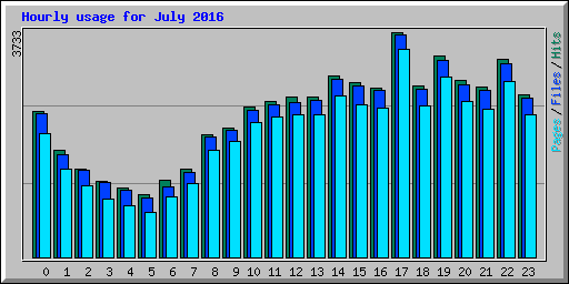 Hourly usage for July 2016