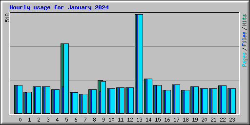 Hourly usage for January 2024