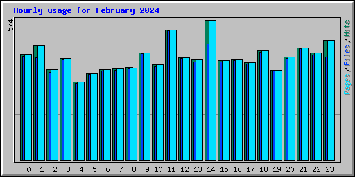 Hourly usage for February 2024