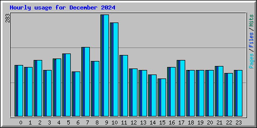 Hourly usage for December 2024