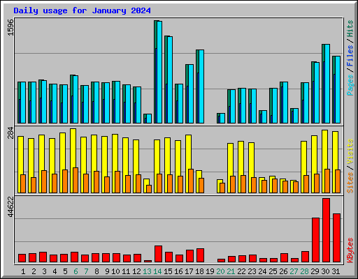 Daily usage for January 2024