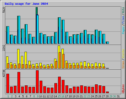 Daily usage for June 2024