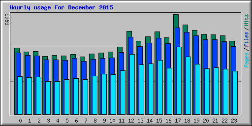 Hourly usage for December 2015