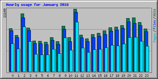 Hourly usage for January 2016