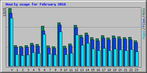 Hourly usage for February 2016