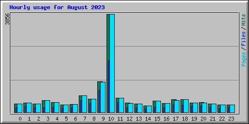 Hourly usage for August 2023