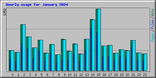 Hourly usage for January 2024